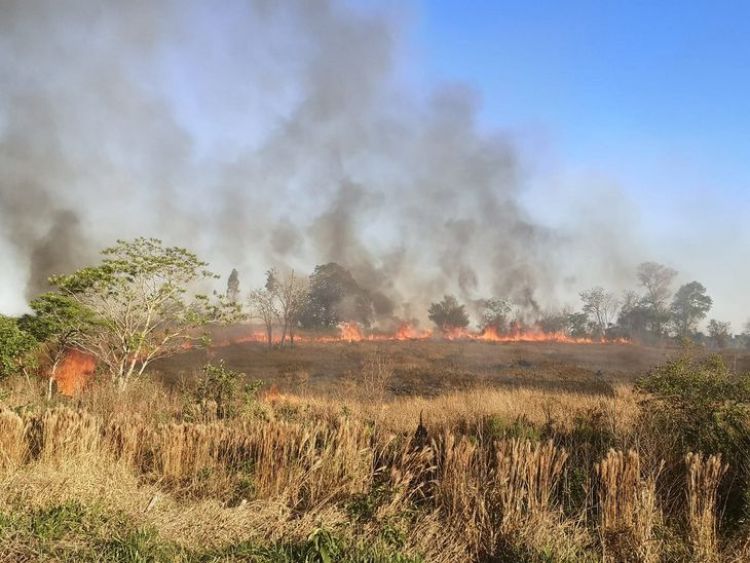 Alto Paraná registra varios focos de incendio