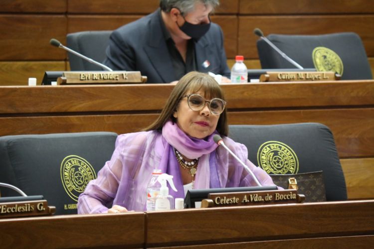Suspenden por 60 días a la diputada Celeste Amarilla