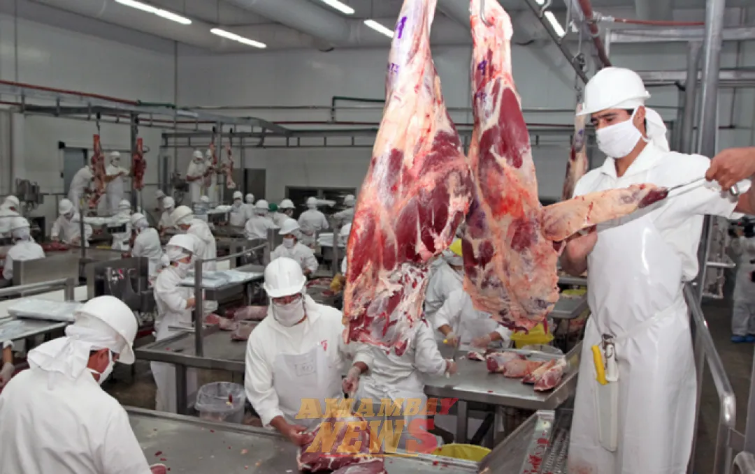 Precio de la carne sigue impactando en mayor medida en el índice de inflación