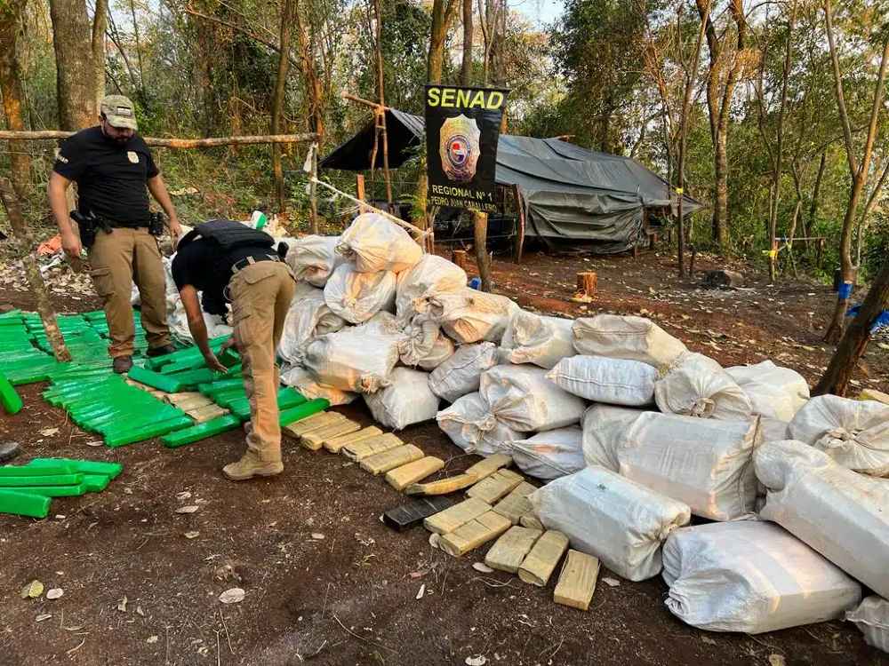 Millonaria destrucción de droga en la Colonia Estrella de Amambay