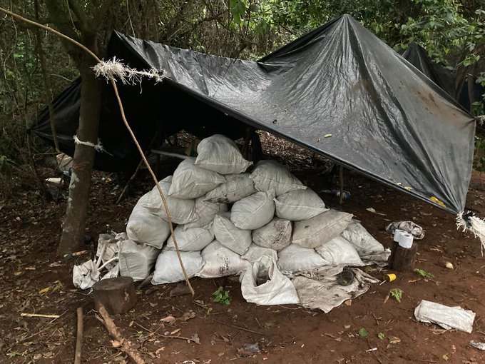 Eliminan narcocampamentos en Amambay