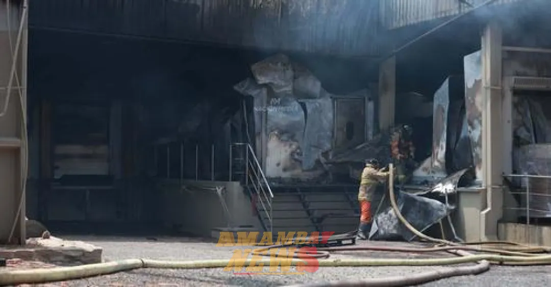 Tras incendio, planta de pollos cerrará por 60 días: pérdidas rondan los USD 5 millones