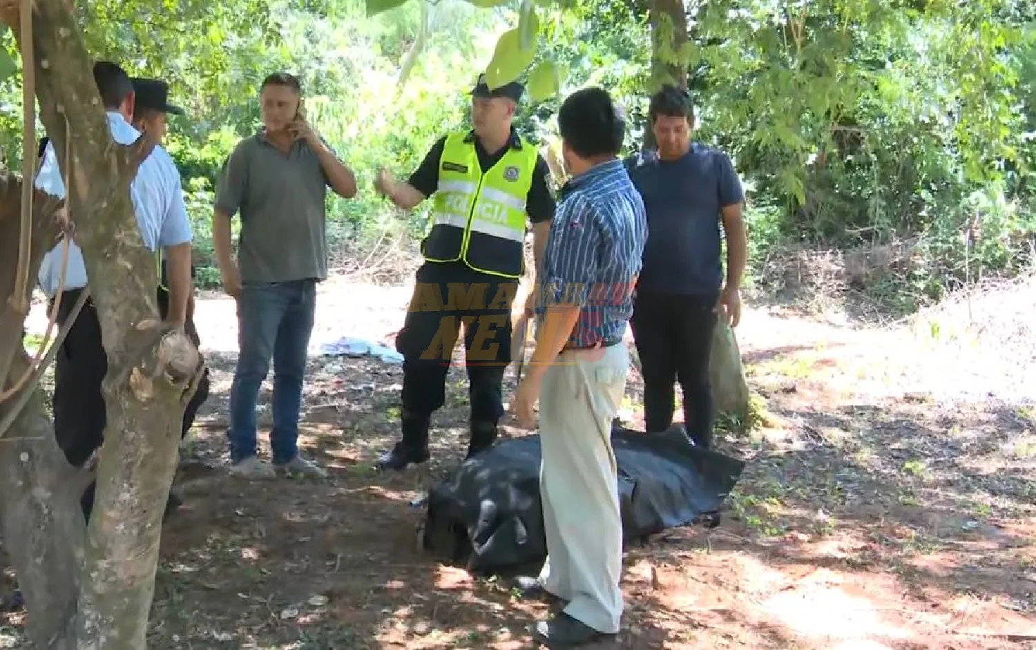 Hombre de 70 años falleció tras mortal ataque de avispas en Luque
