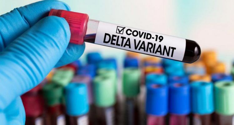 Salud confirma 14 nuevos casos de la variante Delta