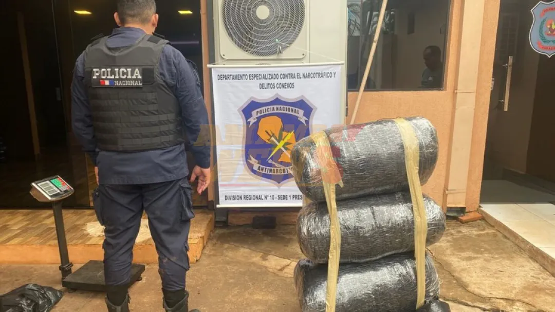 Incautan capullo de marihuana tipo Skunk en la ribera del río Paraná