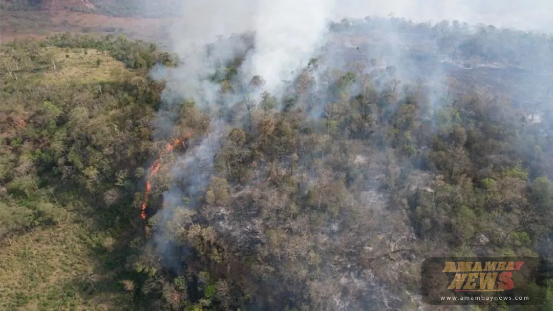Mades estima unas 200 hectáreas afectadas por incendio en Parque Nacional Cerro Corá