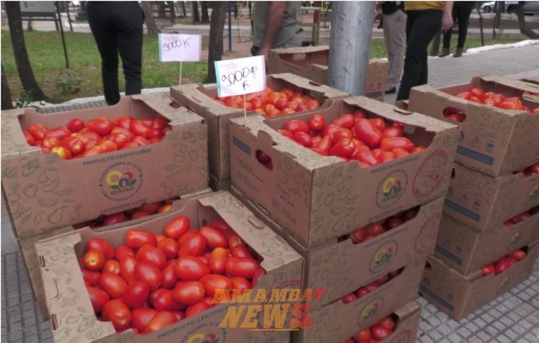 Productos frutihortícolas de contrabando, un riesgo para el consumo