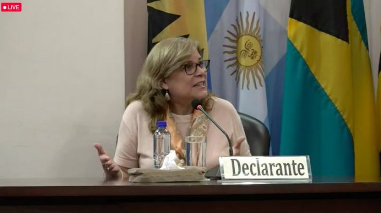 Rechazan in limine acción de inconstitucionalidad presentada por Cristina Arrom
