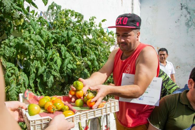 Internos de Tacumbú se gradúan como expertos en Huerta Orgánica