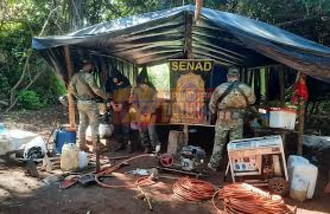 Imputan a dos colombianos tras hallazgo de marihuana tipo «vip» en Capitán Bado