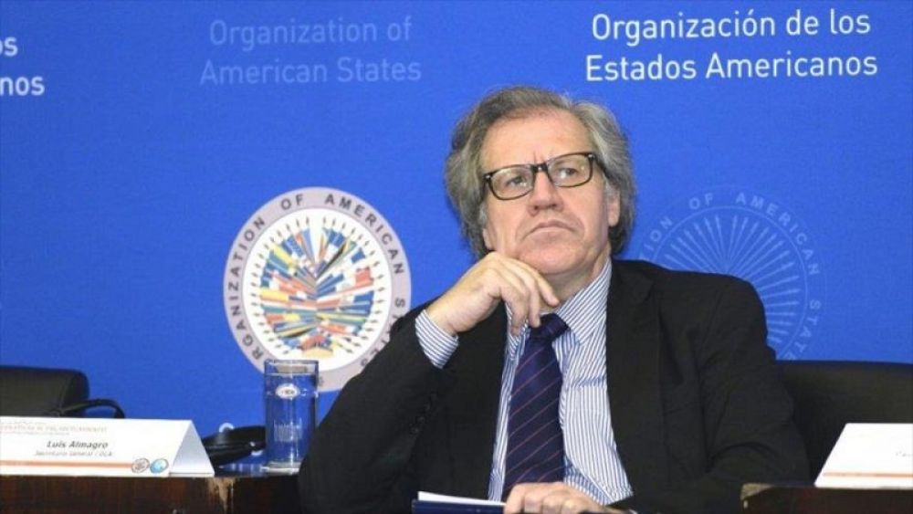La OEA halló irregularidades en las elecciones de Bolivia y exigió repetir los comicios