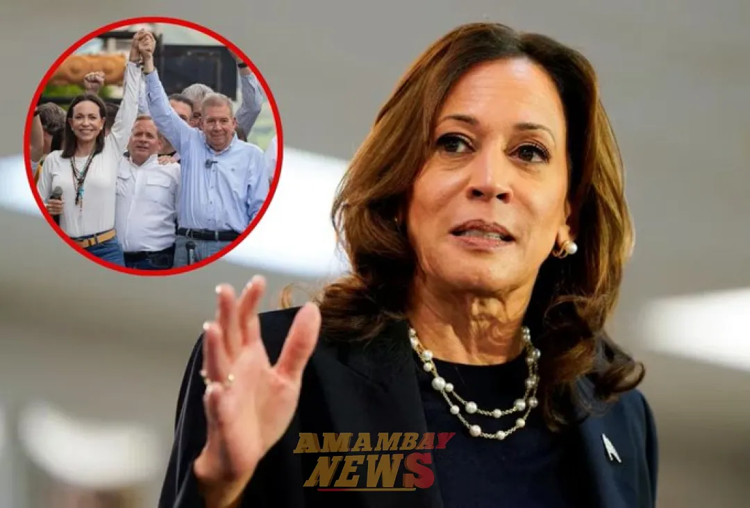 Kamala Harris ratificó su apoyo a la oposición en Venezuela