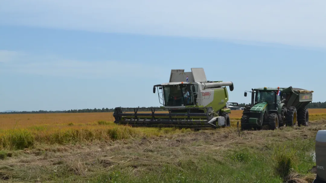 Mades suspende nuevos cultivos de arroz en la cuenca del río Tebicuary