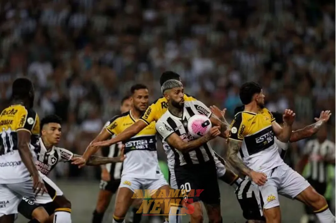 Botafogo pone en riesgo el título del Brasileirao
