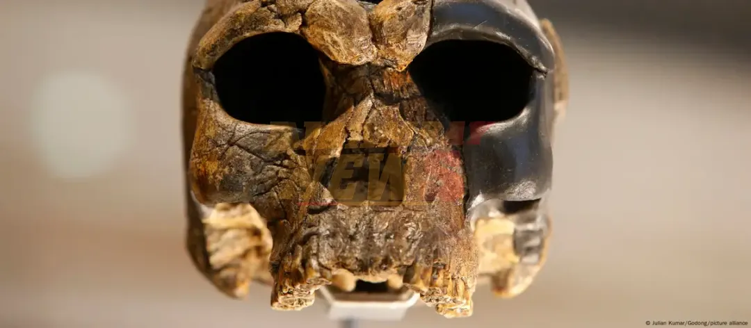 Homo juluensis: identifican posible nueva especie humana