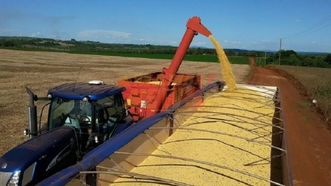 Comercio exterior cerró semestre con déficit de USD 697,9 millones