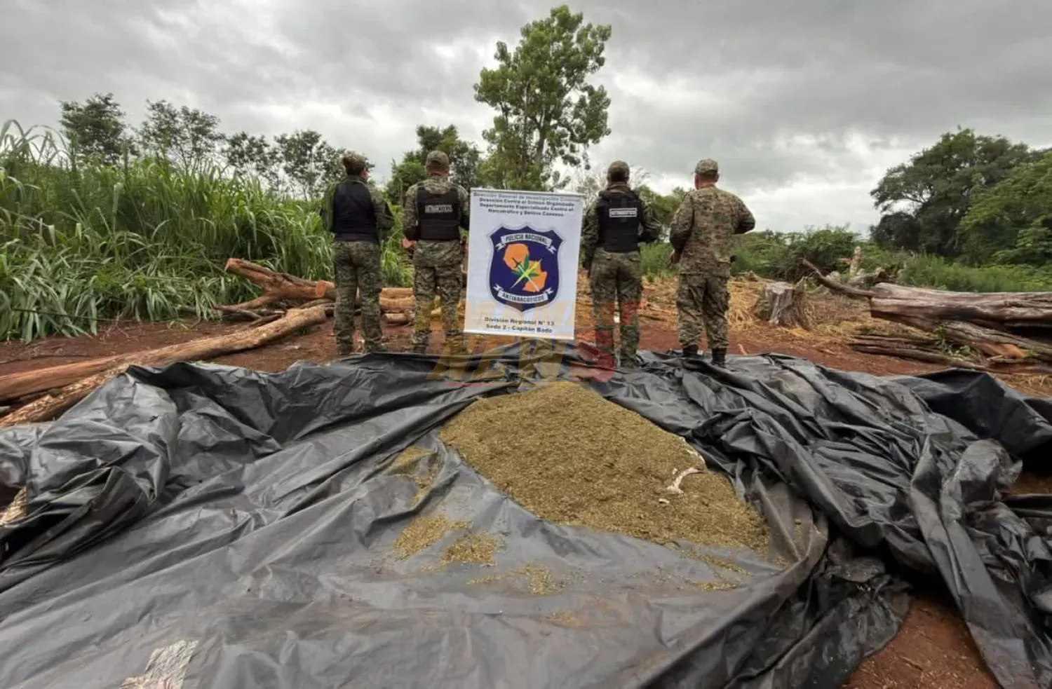 Incineran más de 1.600 kilos de marihuana en Capitán Bado