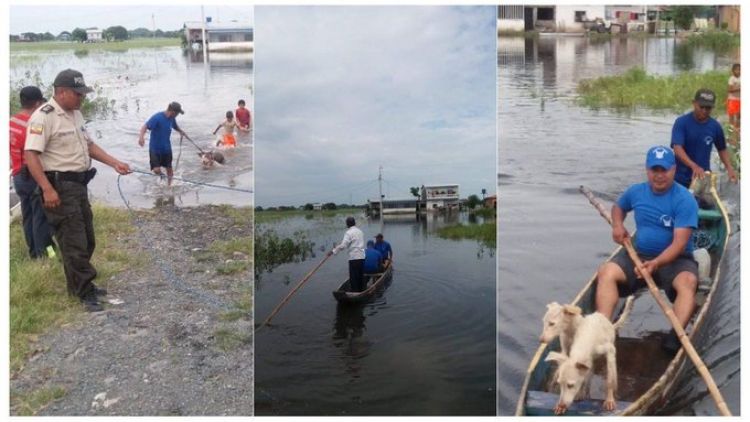 Lluvias en Ecuador dejan trece muertos y miles de afectados