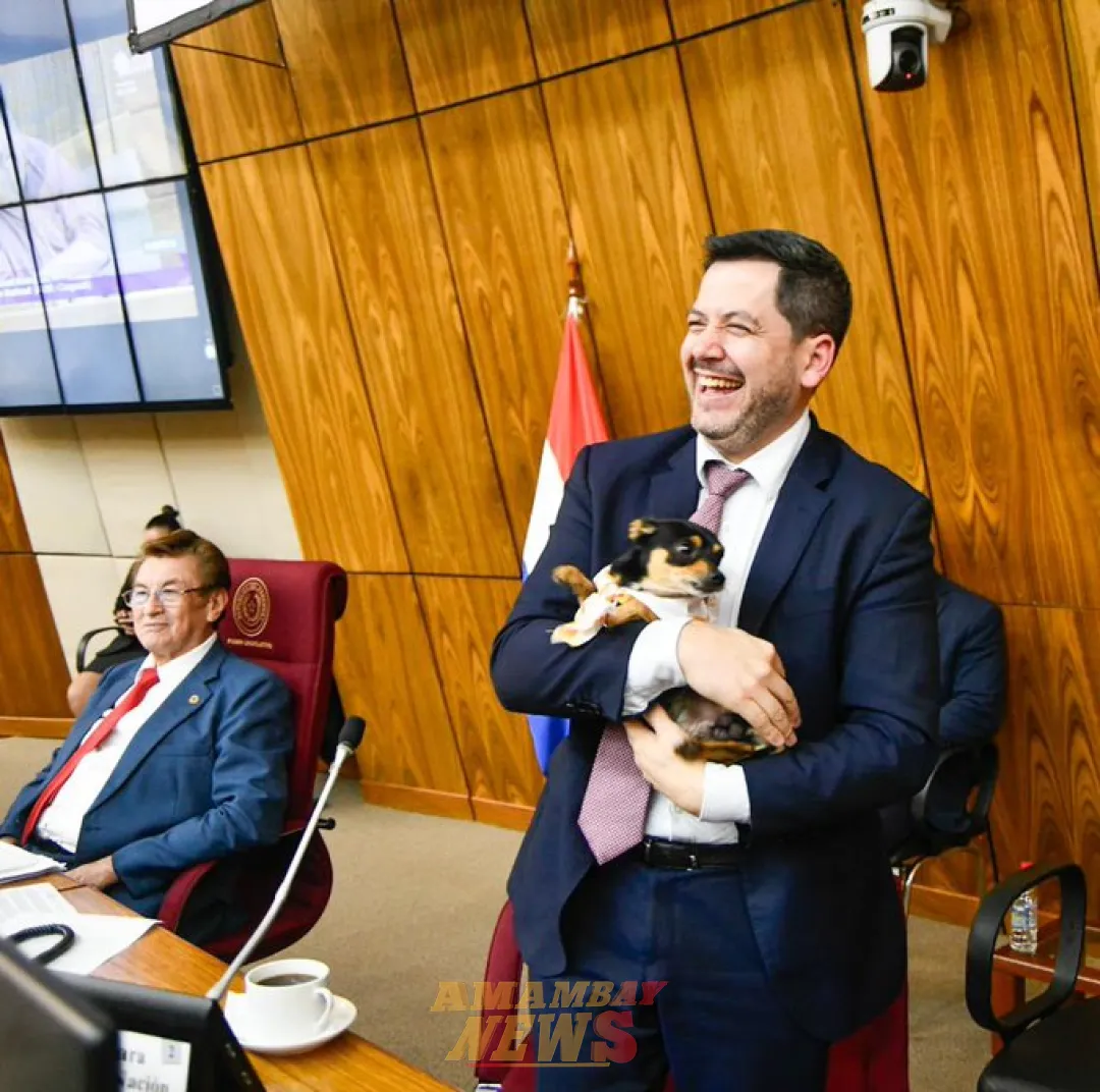 Sancionan aumento de penas de hasta 6 años de cárcel por maltrato animal