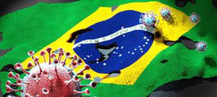 Covid: Brasil registra 113 muertes en 24 horas