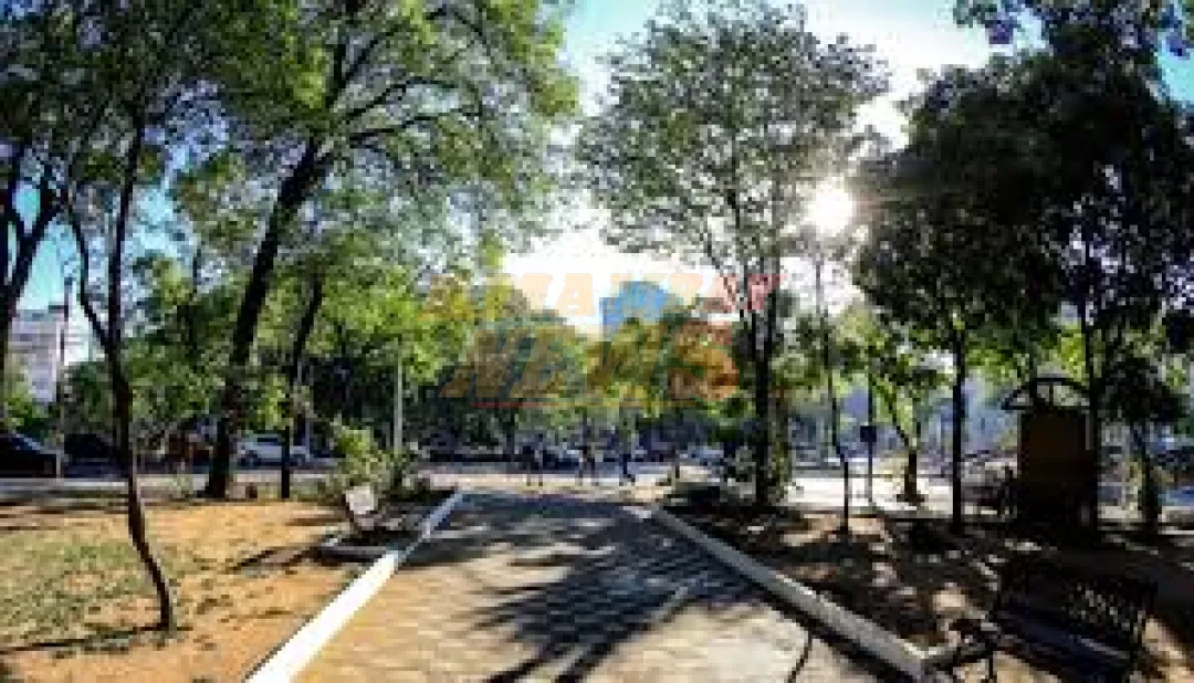 Sábado cálido con vientos variables, anuncia Meteorología