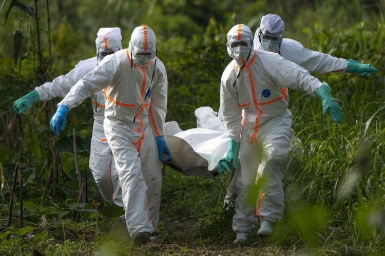 Registran un nuevo caso mortal de bola en frica