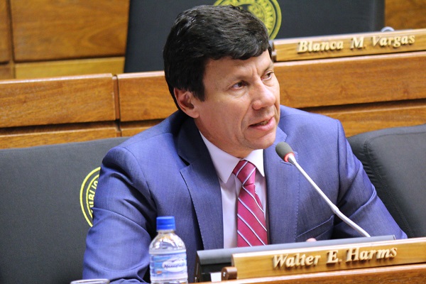 Harms asegura que “no existe copamiento de la ANR”