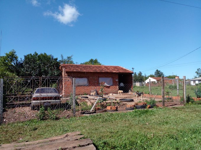 Hermanos mueren electrocutados: intentaban robar gallinas, según la denuncia