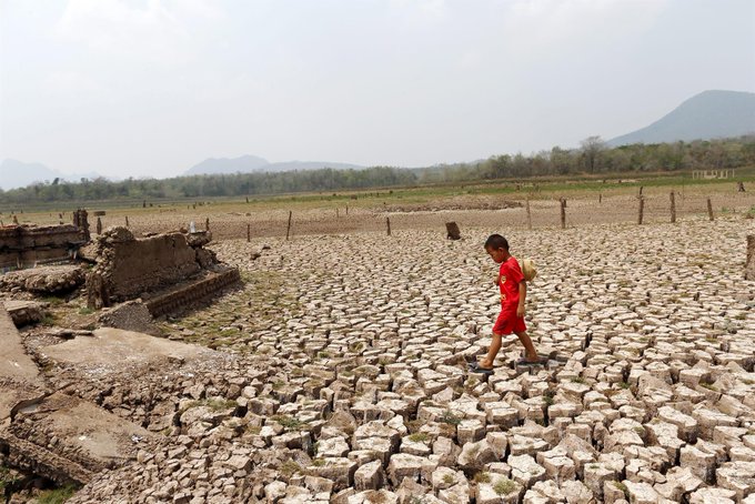 Unicef: Unos 559 millones de niños están expuestos a olas de calor frecuentes