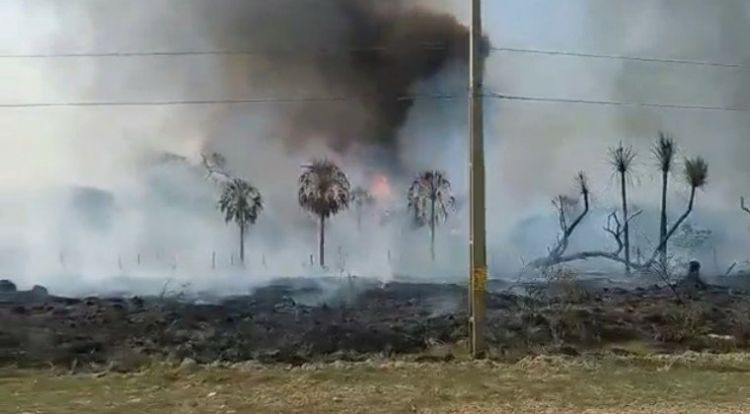 Tras quema de pastizal, Concepción y Boquerón quedaron sin servicios de COPACO