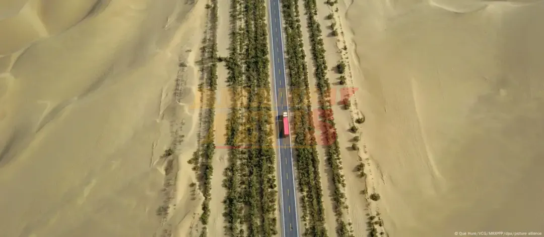 China termina muro forestal de 3.000 km para frenar desierto