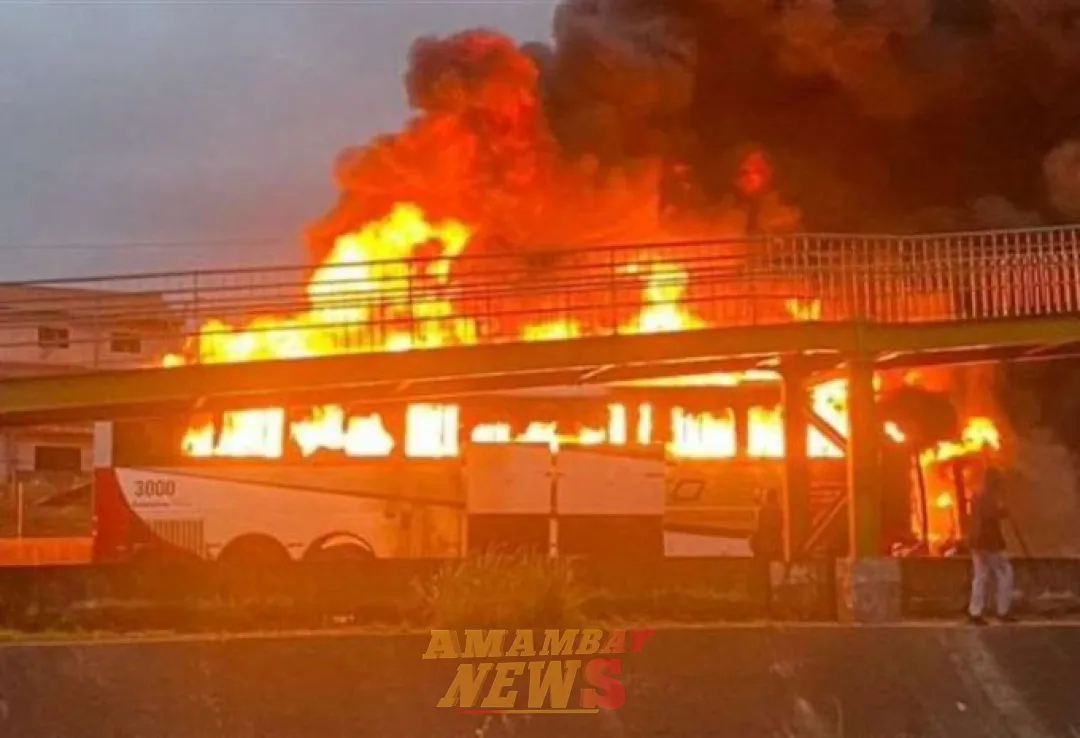 Muere un hincha del Cruzeiro y trece son heridos en una emboscada de barras del Palmeiras