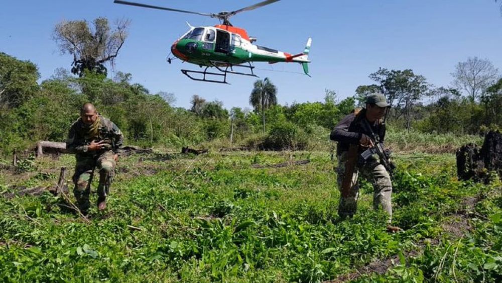 500 toneladas de marihuana, valuadas en 14,9 Millones de Dólares fueron sacadas de circulación