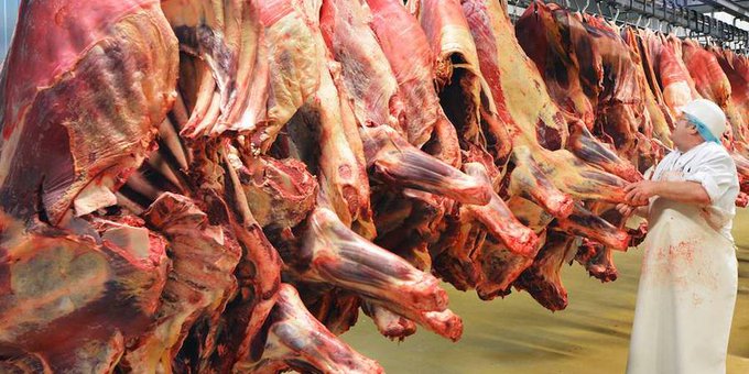 Ingresos por exportaciones de carne bovina bajaron pese a incremento en las salidas