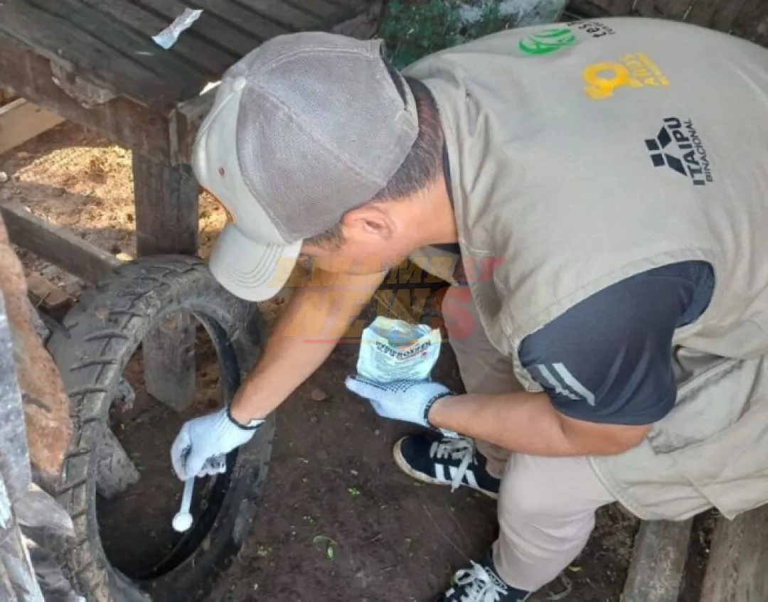 Se detectan alrededor de 7.000 criaderos de mosquitos en Limpio