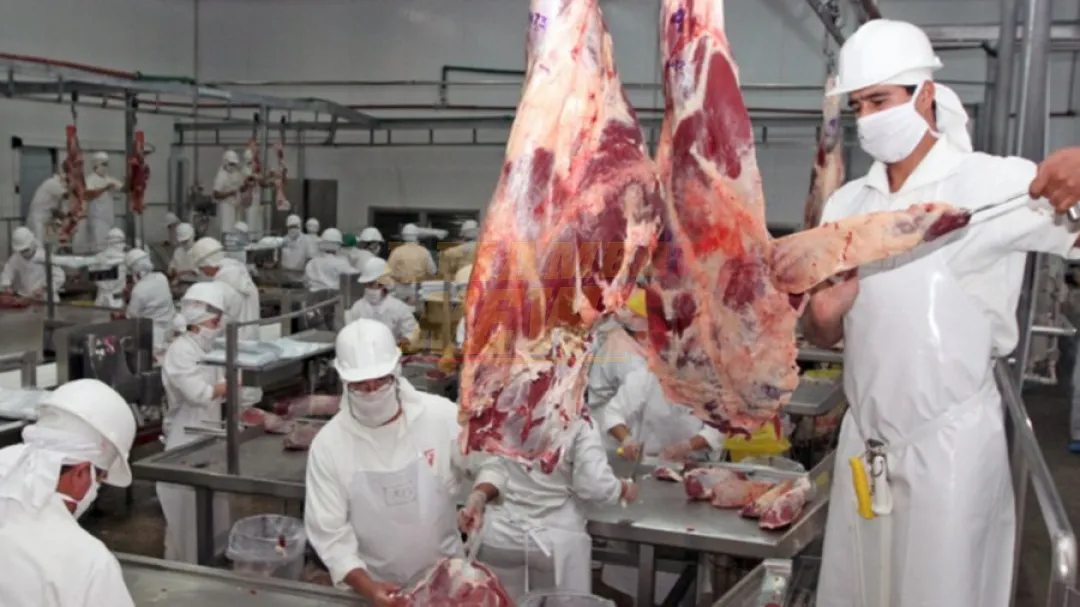 Taiwán habilita dos frigoríficos para carne porcina y bovina