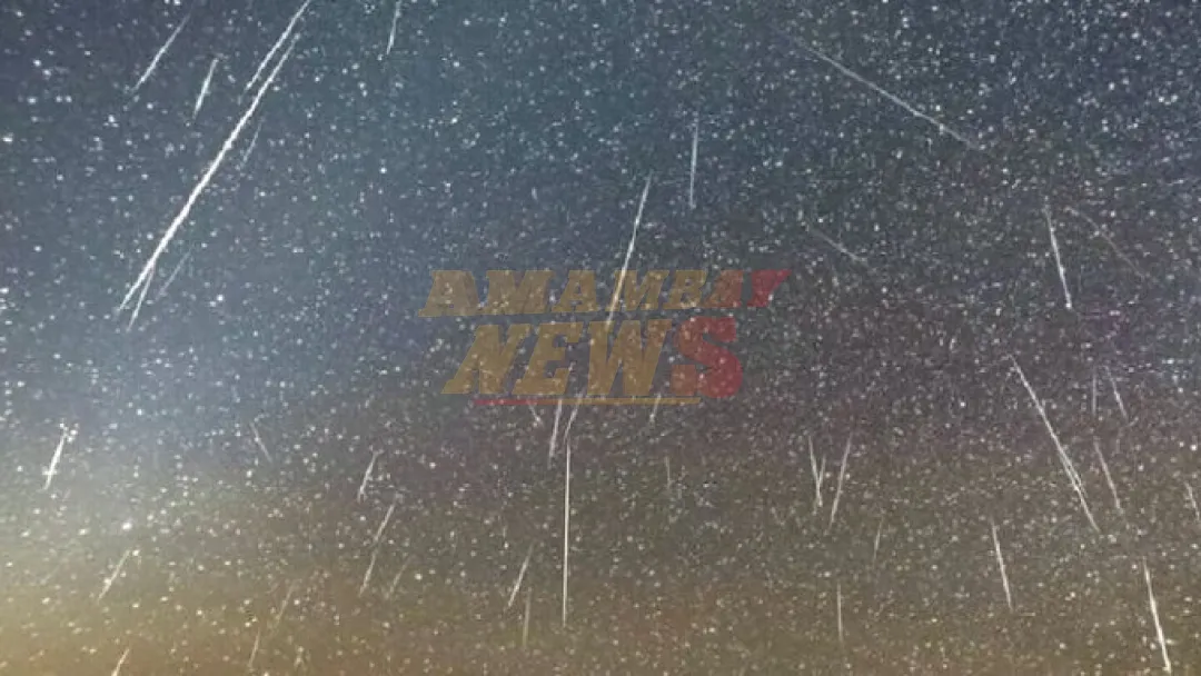 Lluvia de estrellas se podrá ver a simple vista y el auge será mañana
