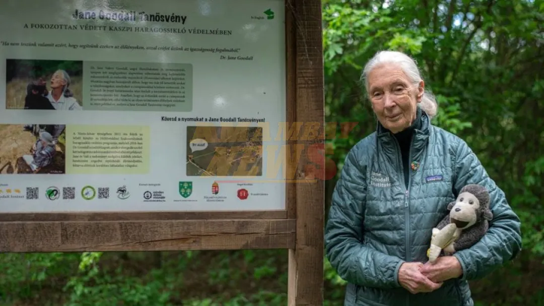 Fallece la científica Jane Goodall en California