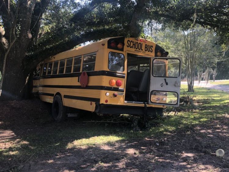 Niño de 11 años roba autobús escolar y choca por un árbol en EE.UU.