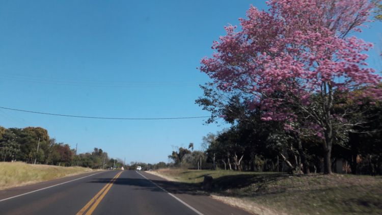 Ambiente fresco a cálido y con lluvias dispersas para hoy lunes