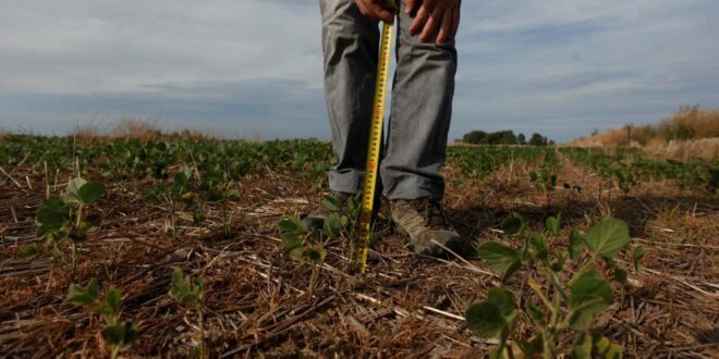 Feprinco rechaza proyectos de leyes sobre contratos agrarios y regalías