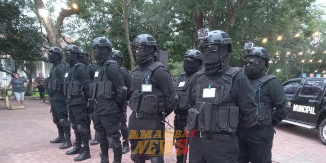 ¿Solución o confusión? Ministro se pronuncia sobre la ‘Policía Municipal de Yaguarón