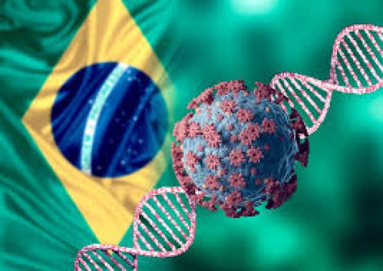 Covid-19: Brasil registra 684 muertes en 24 horas