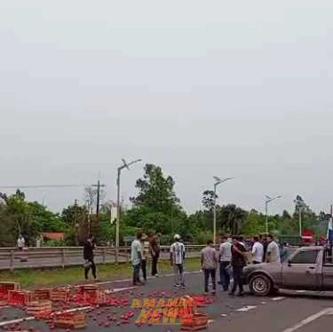 «Cansados de diálogos sin respuestas», productores frutihortícolas se movilizan en varios puntos del país