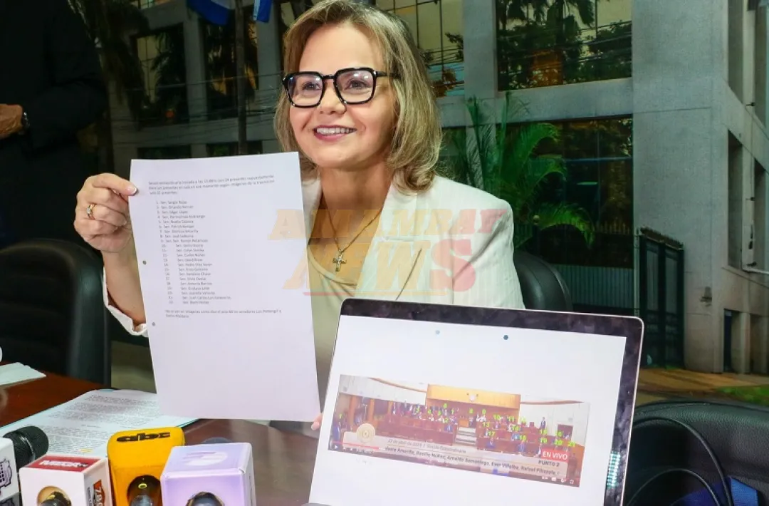 Lilian denuncia que Senado sancionó una ley sin contar con cuorum