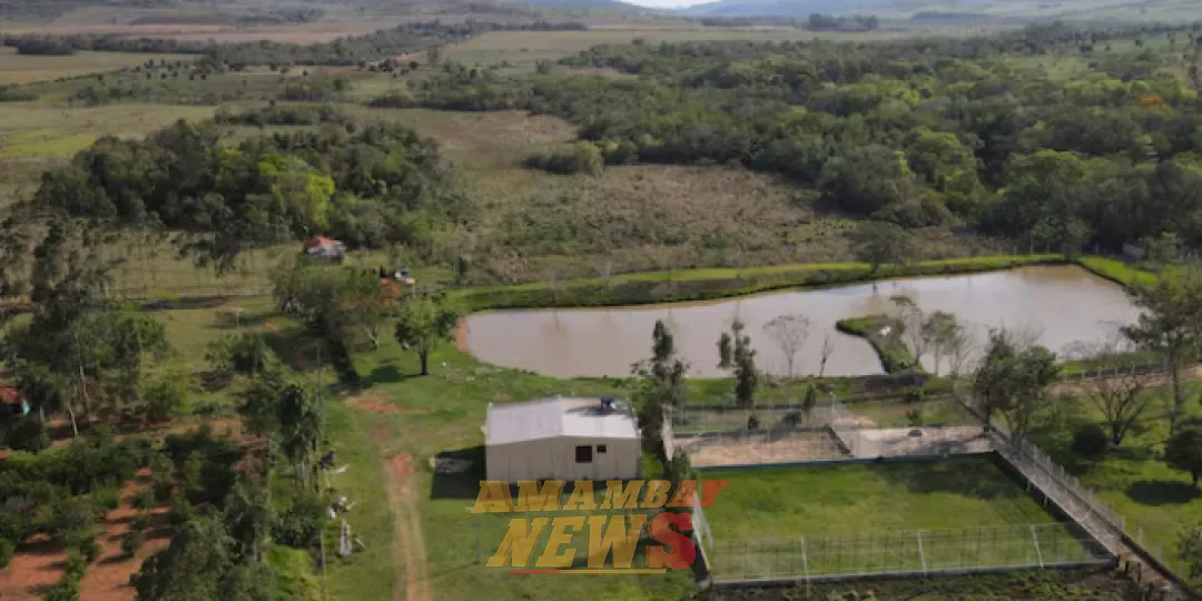 Requisan armas y drogas en estancia de Zanja Pytá