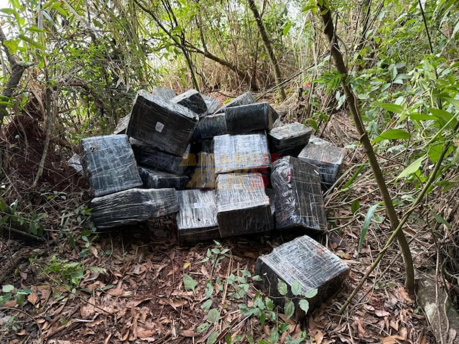 Narcotráfico en la frontera: incautan casi una tonelada de marihuana en el lago Itaipú