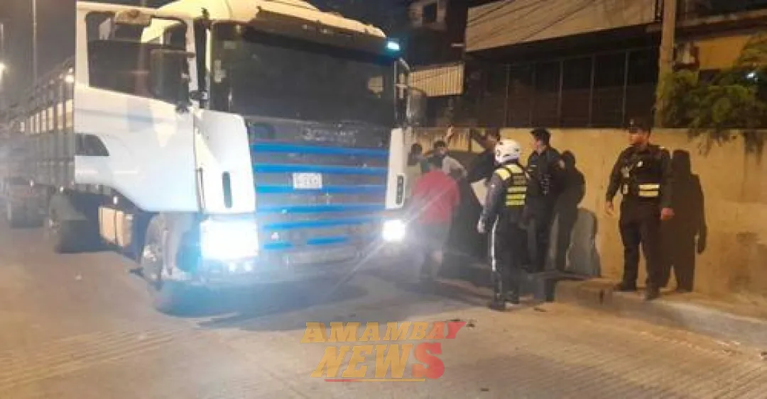 Acoplado de transganado vuelca en el túnel Semidei y provoca muerte de vacunos