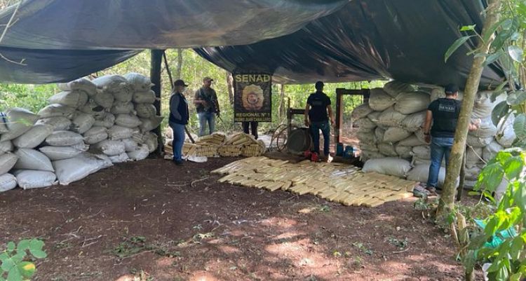Desmantelan centro de almacenamiento de droga en montes del Amambay
