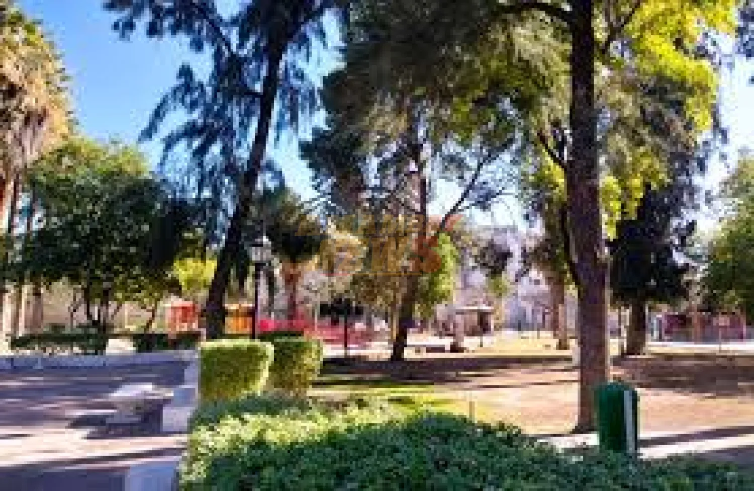 Anuncian buen tiempo con temperatura fresca a cálida para este lunes